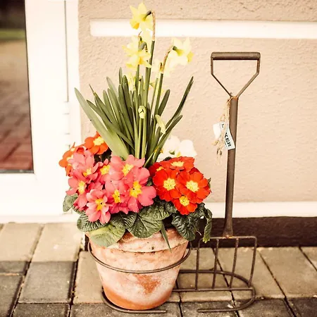 بيت ضيافة Ballycannon Croagh