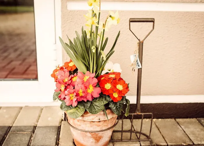 게스트하우스 Ballycannon Croagh